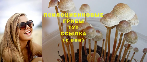 PSILOCYBIN Белоозёрский